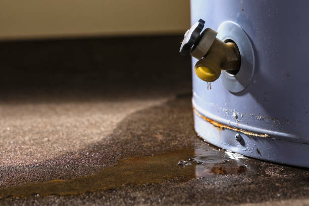 Best Flood damage cleanup  in Wyong, MI