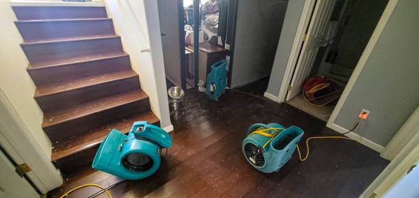 Best Fire Damage Restoration  in Wyong, MI