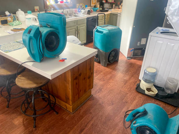 Best Water damage restoration near me  in Wyong, MI