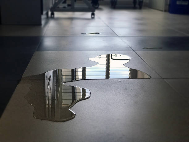Best Local water damage restoration  in Wyong, MI