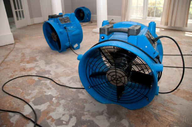 Best Water damage restoration insurance claims  in Wyong, MI