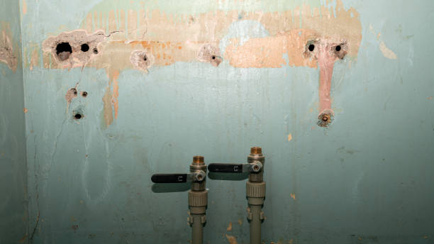 Best Fire Damage Restoration  in Wyong, MI