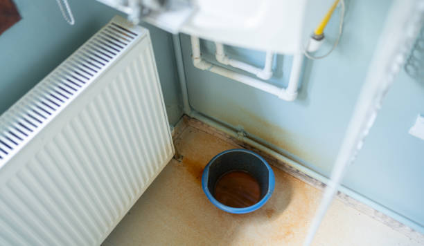 Best Carpet water damage restoration  in Wyong, MI