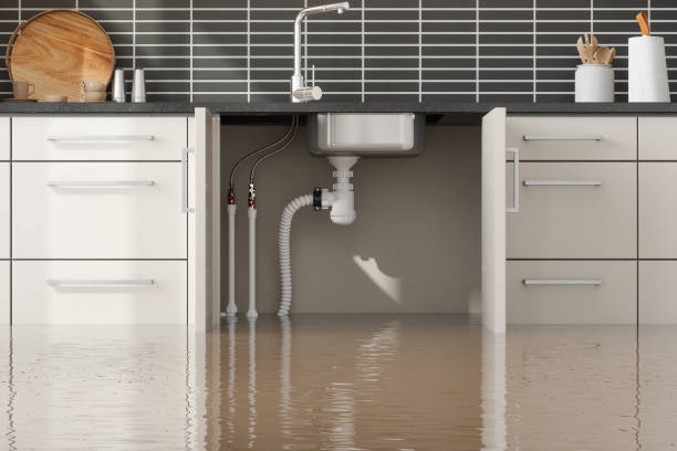 Best Mold removal after water damage  in Wyong, MI