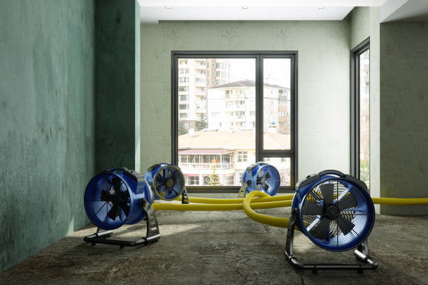 Best Professional water damage repair  in Wyong, MI